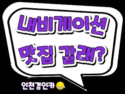더뉴스파크 올인원 내비매립 카나로 X PRO 교체 인천경인카 설치작업