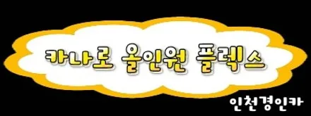 뉴스포티지 카나로XPLUS 올인원 안드로이드 내비게이션 후방카메라 설치