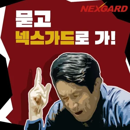 쏘렌토 앞유리 썬팅 넥스가드 토탈케어 필름 인천경인카 재시공