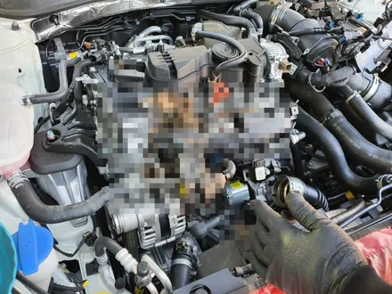 오산손세차 K5 엔진룸크리닝 고양이사체 제거 특수 엔진룸크리닝 메카디테일링 / 오산시 누읍동