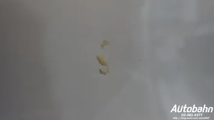 크루즈 송진제거 차량 송진세차 송진제거세차 송진범벅 제거 / 고양시 삼송동