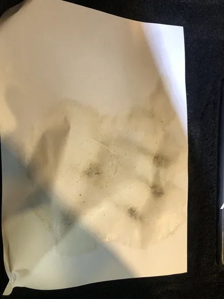 EQ900 커피쏱은차량 실내크리닝 차량 실내크리닝 부분클리닝 커피를 쏟았을때 대처방법 / 고양시 삼송동