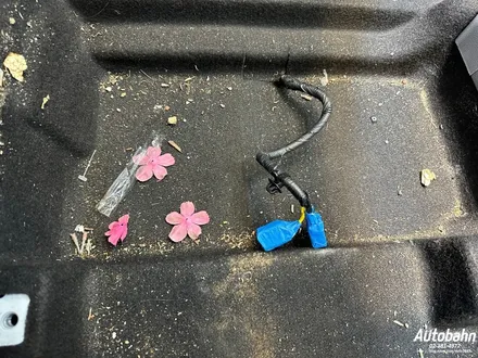 모닝 실내크리닝 오래된 오염때 제거 세차 차량오염물 제거 세차 실내세차 새차만들기 / 고양