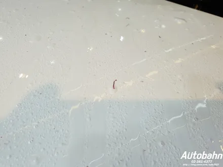 BMW X6M50D 프리미엄 광택 삼송 광택 은평구 광택 제대로 된 광택을 받아보세요 차량 손상이 없게끔 꼼꼼한 광택을 3인의 디테일러가 시공해드립니다. / 고양시 삼송동