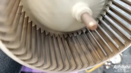 BMW X7 에바크리닝 내시경 에어컨청소 퀘퀘한냄새제거 자동차에어컨냄새 탈취 / 고양