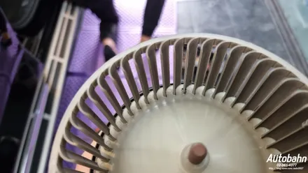 BMW X7 에바크리닝 내시경 에어컨청소 퀘퀘한냄새제거 자동차에어컨냄새 탈취 / 고양