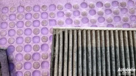 BMW X7 에바크리닝 내시경 에어컨청소 퀘퀘한냄새제거 자동차에어컨냄새 탈취 / 고양