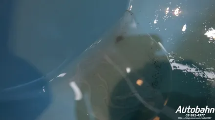 그랜저TG 내시경에바클리닝 에어컨 청소 일산 자동차 에어컨청소 에바클리닝 은평구 에바크리닝 삼송 에바크리닝 / 고양시 삼송동