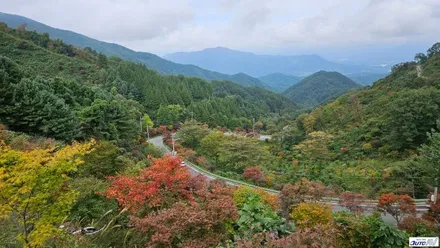 가을 햇볕에도 자동차 썬팅은 당연! 달서구 썬팅 재시공 이야기