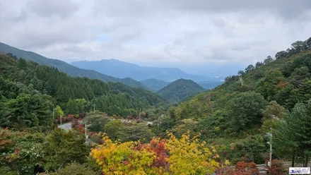 가을 햇볕에도 자동차 썬팅은 당연! 달서구 썬팅 재시공 이야기