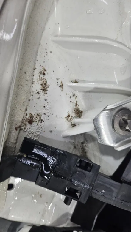 벤츠 C클래스 : 천정에서 낙숫물과 모래가 떨어졌어요.보험수리광택유리막코팅PPF 노원도봉남양주 / 노원구 공릉동