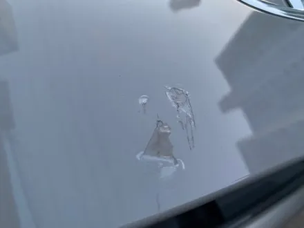포르쉐 카이엔 : 보닛PPF(자동차보호필름) 전문시공샵에서 하셔야하는 이유와 PPF의 성능안내 서울노원 / 노원, 도봉, 성북