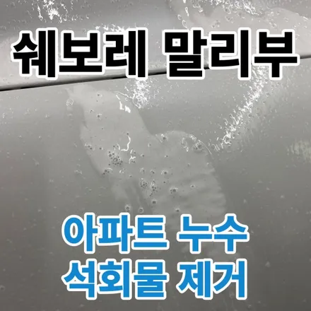 쉐보레 말리부 : 자동차 석회물제거 광택과 복원시공기 공릉 태릉 묵동 / 노원, 도봉, 성북