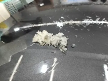 르노 그랑콜레오스 : 전체PPF시공기 PPF노원 수유 / 노원구 공릉동