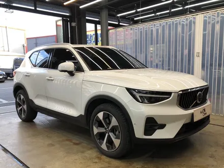 볼보 XC40 베이지시트 덱스워시 김포구래점 디테일링 손세차 / 경기 김포