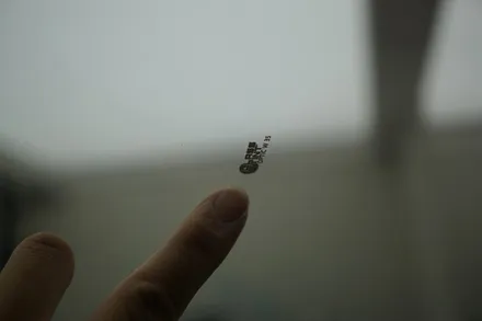 테슬라 모델Y 너무 잘어울리는 썬팅필름은 단언코 글라스틴트 입니다~! 1일 1대 장인시공 보여드릴께요~ / 중랑, 동대문, 광진구, 성동구