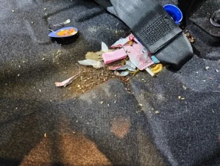 자동차 실내크리닝 권연 벌레 퇴치 및 발생 원인 서식지 제거 차량 실내클리닝 김포 오토랩자동차목욕탕 / 경기 김포