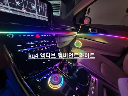 카니발 ka4 엑티브엠비언트 라이트 / 기아 / 카니발 4세대(ka4) / 전주