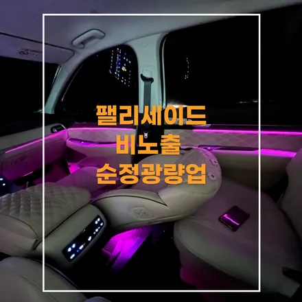 전주 엠비언트 팰리세이드 순정광량업+확장시공 / 전주