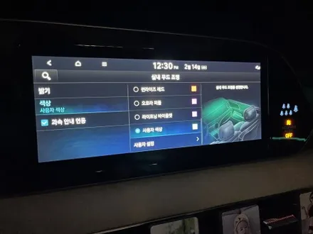 전주 엠비언트 팰리세이드 순정광량업+확장시공 / 전주