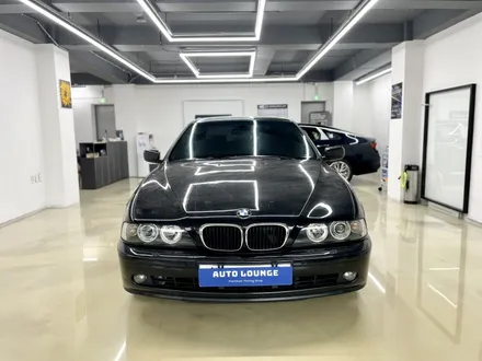 BMW E39 530i 역시 솔라가드 프리미엄 \