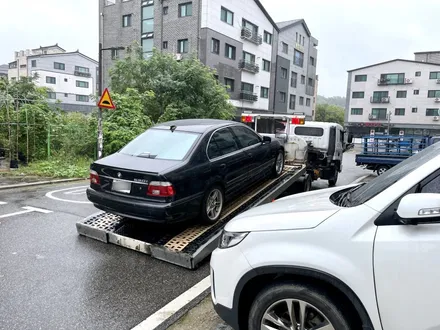 BMW E39 530i 역시 솔라가드 프리미엄 \