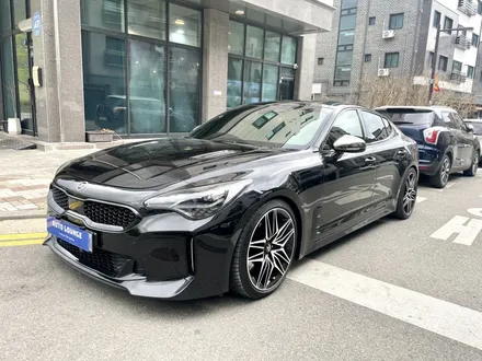 기아 스팅어 블락포디 \