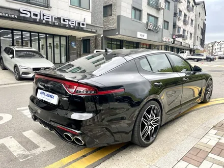 기아 스팅어 블락포디 \