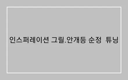 더뉴싼타페 인스퍼레이션 순정 튜닝 / 울산, 포항
