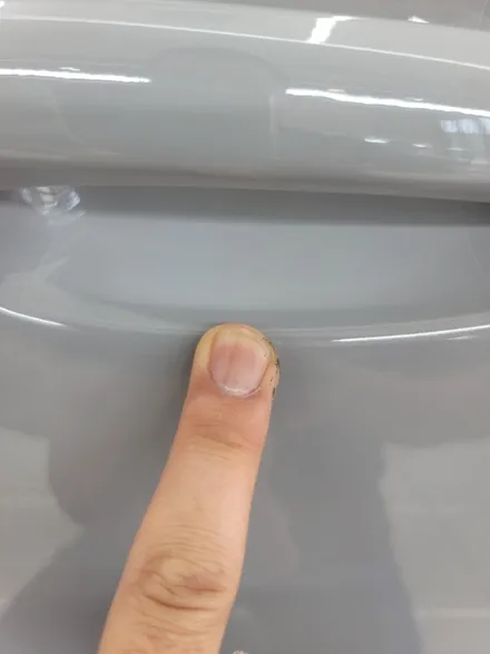 벨로스터N 신차패키지 / 울산, 포항