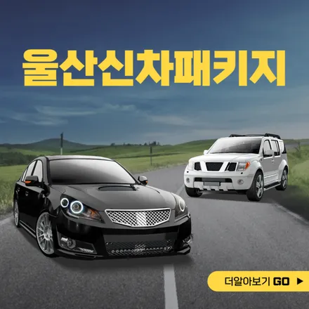 울산 투싼 NX4 신차패키지 가격 낮추고 필요한 것만! / 울산, 포항