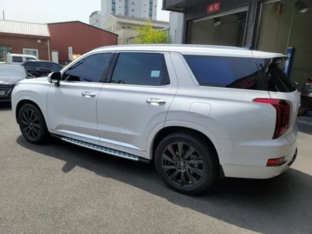 팰리세이드 신차패키지 / 울산, 포항