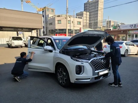 팰리세이드 신차패키지 / 울산, 포항