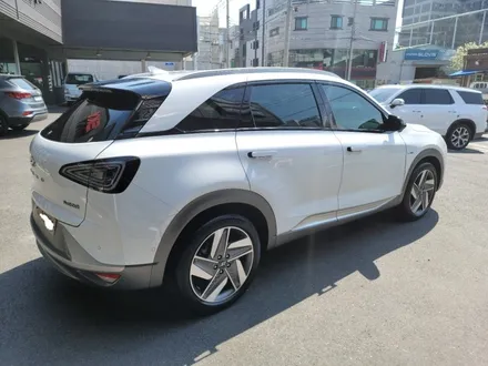 넥쏘 신차패키지 / 울산, 포항