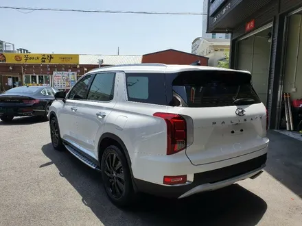 울산차량관리 썬팅전문업체 오토앤 팰리세이트썬팅 / 울산, 포항