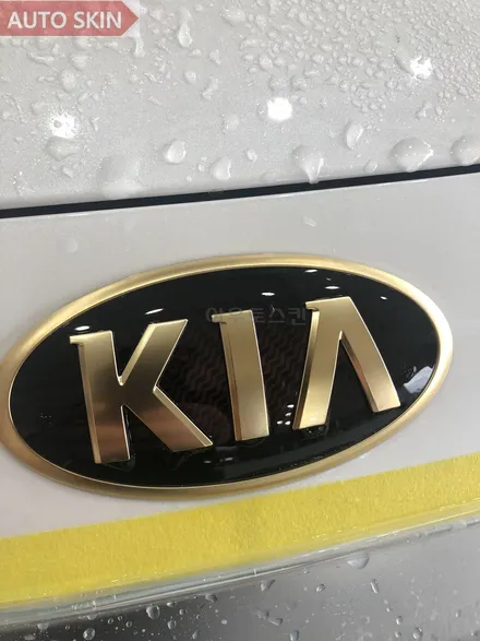 광주루프스킨 k9루프스킨 및 엠블럼 24k도금작업[광주랩핑,광주k9루프스킨,광주카스킨,아우토스킨] / 광주 광산구
