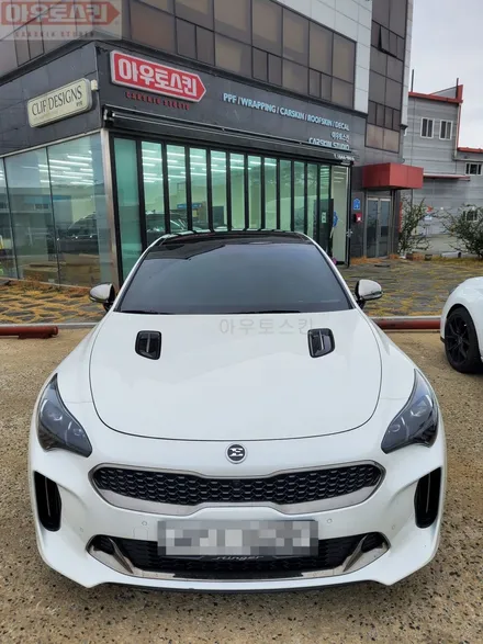 광주루프스킨  스팅어 루프 stek다이노블랙 블랙ppf시공 / 광주 광산구
