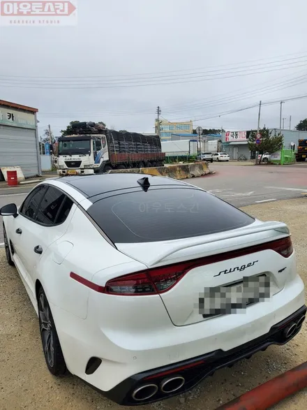 광주루프스킨  스팅어 루프 stek다이노블랙 블랙ppf시공 / 광주 광산구