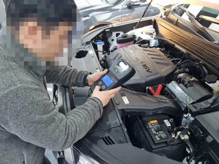 팰리세이드 버텍스 1100, 버텍스 900, QXD7000, S8, V3, PPF