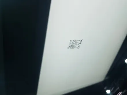 팰리세이드 루마버텍스 썬팅 블박, 가디언도어 PPF 신차패키지