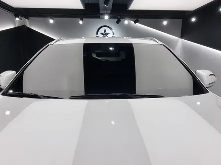 팰리세이드 버텍스 1100, 버텍스 900, QXD7000, S8, V3, PPF