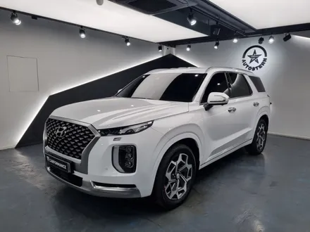 팰리세이드 버텍스 1100, 버텍스 900, QXD7000, S8, V3, PPF