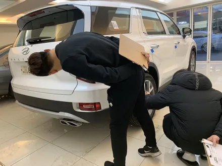 팰리세이드 - 신차 패키지 ( S+B 패키지 ) 시공기!!