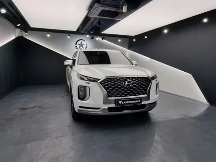 팰리세이드 버텍스 1100, 버텍스 900, QXD7000, S8, V3, PPF