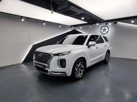 팰리세이드 버텍스 1100, 버텍스 900, QXD7000, S8, V3, PPF