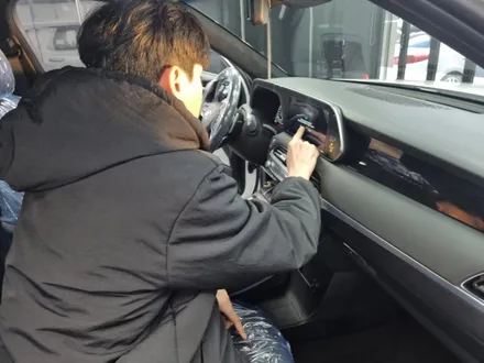 팰리세이드 버텍스 1100, 버텍스 900, QXD7000, S8, V3, PPF