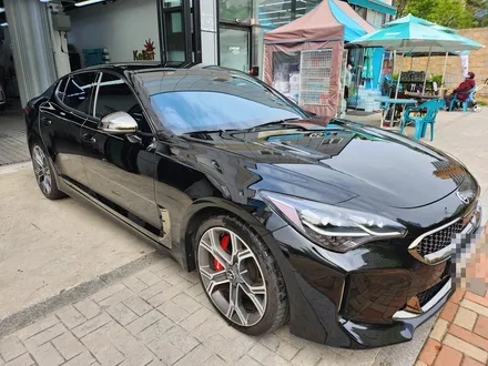 광명 블락포디 전문 시공점 오토스토어에서 진행한 스팅어 비바스카이블루 썬팅 재시공 진행기 / 경기 광명 신촌로