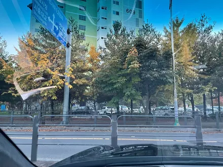안양 신차패키지 제네시스 G70 블락포디 비바스카이 시공하세요. / 경기 광명 신촌로
