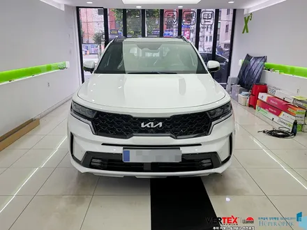 최고의 하이브리드 SUV! 기아 쏘렌토 하이브리드 + 후퍼옵틱 장한평점 / 서울 동대문구 답십리동