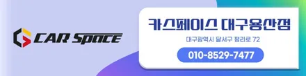 대구 신차패키지, 후퍼옵틱 프나세, 클래식으로 카니발 드레스업 / 대구 달서구 용산동